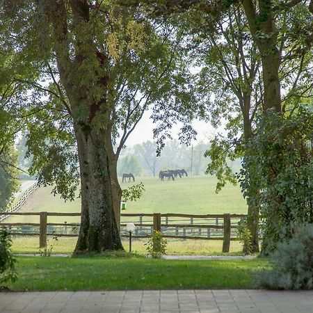Tenuta Mariano Noceto Dış mekan fotoğraf