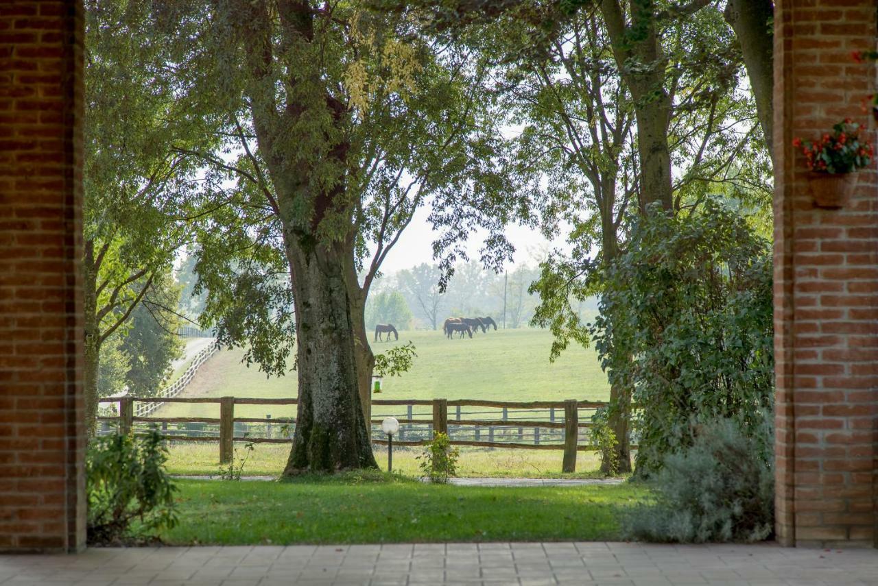 Tenuta Mariano Noceto Dış mekan fotoğraf